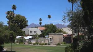 a house with palm trees and a fence at Cozy Townhome Close to Old Town in Scottsdale