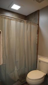 a bathroom with a toilet and a shower curtain at Cozy Townhome Close to Old Town in Scottsdale +18 photos