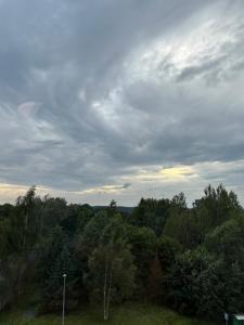 a cloudy sky above a forest of trees at Self Check- in Cozy Apartment in Cēsis