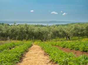 Paesaggio naturale nelle vicinanze dell'appartamento