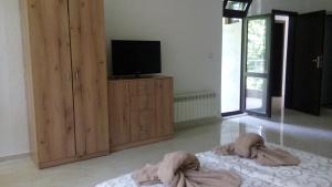 A television and/or entertainment centre at Apartment's Pita & Mare