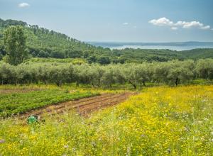 Paesaggio naturale nelle vicinanze dell'appartamento