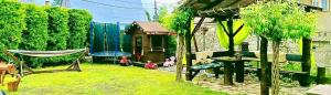 a small backyard with a hammock and a house at Pokoje "U Moniki" in Ząb