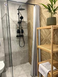 O baie la Apartament 4 Piętro