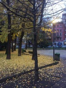 Zahrada ubytování Hotel Adelchi + 37 fotografií