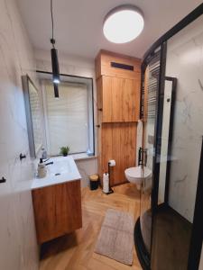 Un baño con lavabo, ducha e inodoro. en JEDLINA Park, en Jedlina-Zdrój 18 fotos más