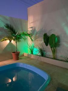 a swimming pool in a room with potted plants at Casa Kalango Barra Grande Pi in Barra Grande
