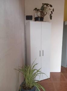 Billede fra billedgalleriet på La esquina de Rosana i Puerto Santa Cruz