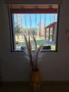 a vase with a plant in front of a window at Las Casuarinas in San José +3 photos