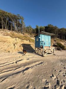 a small blue shack on a sandy beach at Apartamenty Oakland in Debina