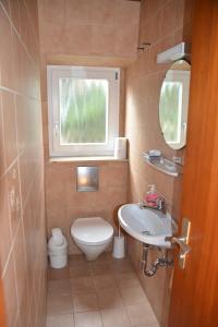 Un baño pequeño con inodoro y lavabo. en Pension Hofmann-Schmölzer, en Rothenburg ob der Tauber