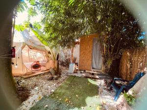 a backyard with a tent and a fence at Casa de Campaña en la Pequeña Selva by Legnalife in Homestead