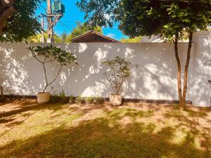 two trees in pots next to a white wall at Bees Airport Hotel in Katunayaka