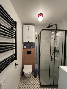 a small bathroom with a toilet and a shower at Dębina Spot 27 in Debina +28 photos