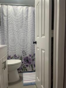 a bathroom with a toilet and a shower curtain at Cottage in Punta Gorda in Punta Gorda +22 photos