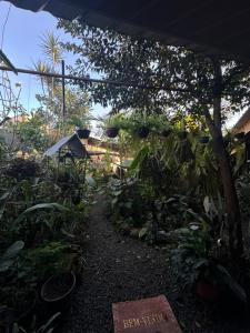un jardín con muchas plantas y una sombrilla en Caminho das cataratas, en Foz do Iguaçu