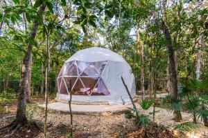 Zahrada ubytování Glamping Mayan Glam
