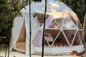 Fotografie z fotogalerie ubytování Glamping Mayan Glam v destinaci Tulum