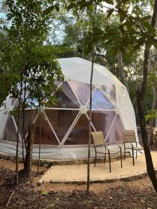 Zahrada ubytování Glamping Mayan Glam