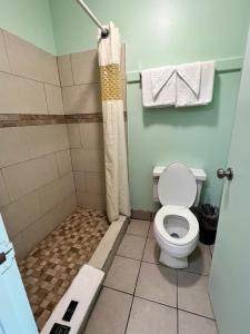 a bathroom with a shower with a toilet at Travelers inn in Bethania Station