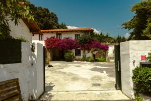 Κήπος έξω από το La casa de los árboles