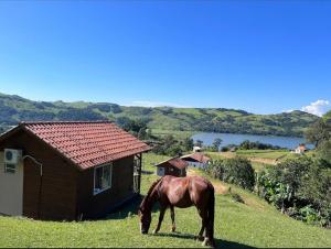 Landskap semula jadi dekat dengan lodge +3 gambar