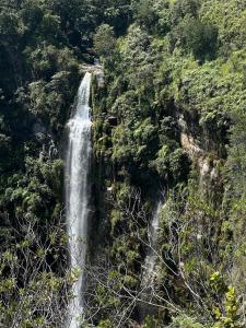 a waterfall in the middle of a forest at Penthouse - Altos de Iguaque in Gámbita