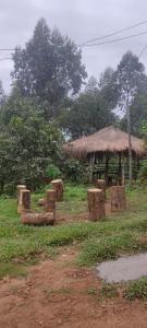 Gallery image of Natural mudhouse in Kanthalloor