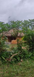 Gallery image of Natural mudhouse in Kanthalloor