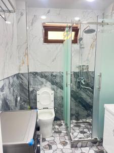 a bathroom with a shower and a toilet at Apartment lux in Samarkand +20 photos