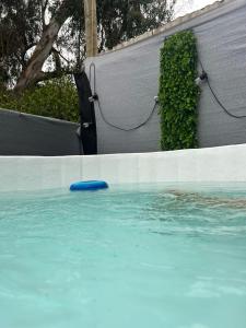 a blue frisbee in a swimming pool at La Quebrada de Pinomar in El Quisco