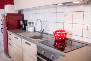 Kuchyň nebo kuchyňský kout v ubytování Apartments & Rooms Iva