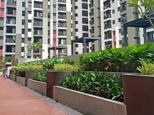 eine Reihe von Pflanzen vor hohen Gebäuden in der Unterkunft Nara Nook Homestay Bangi in Kajang
