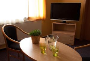 TV a/nebo společenská místnost v ubytování Apartmány REKO Kadaň