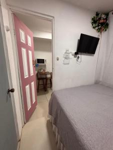 TV a/nebo společenská místnost v ubytování Cómodo mini apartamento en La Sabana, San José