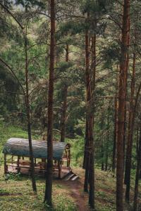 Paisagem natural perto do hotel