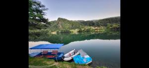 CrnčaKamp kućica trokrevetna的相册照片 更多40张照片