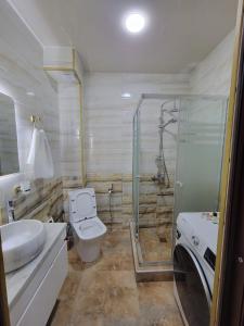 Un baño con inodoro, lavabo y ducha. en Tatulis house white bridge, en Kutaisi 7 fotos más