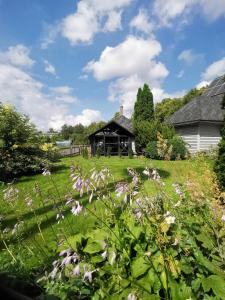 a field of flowers in front of a house at Alejas Namiņš in Jurģi