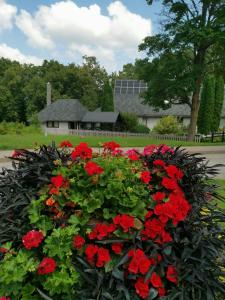 ein Topf mit roten Blumen vor einem Haus in der Unterkunft Alejas Namiņš in Jurģi + 11 Fotos