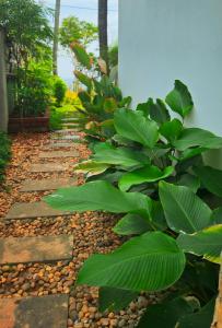 a garden path with green plants and rocks at Asteya boutique stays in Varkala +132 photos