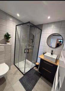 a bathroom with a shower and a sink and a mirror at Petit cocon cosy entre lac et montagnes in Malbuisson
