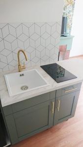 a kitchen with a sink and a counter top at 35 m2 charmant plus 30 M2 de terrasse Accès jardin SPA in Boulogne-sur-Mer