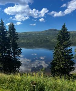 Fotografie z fotogalerie ubytování Strandgården Fjällnäs v destinaci Tänndalen