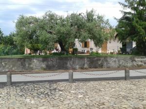 Gallery image of Villa Etna in Piedimonte Etneo