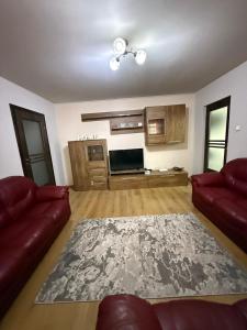 a living room with a couch and a television at Apartament Craiova in Craiova