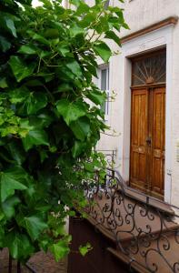 a building with a wooden door and a bush at Eifel Fewo in Neuerburg