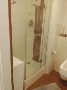una ducha con puerta de cristal en un baño en Graeff luxury Apartment, en Colonia 32 fotos más
