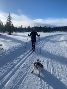 Το Strupa - 3 bedroom cabin in Hemsedal τον χειμώνα