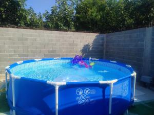 a blue pool with a toy in it at Apartments Luka in Rab